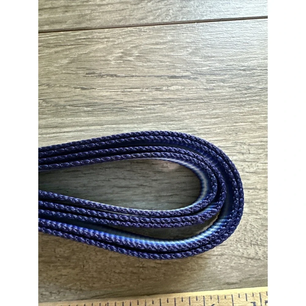 Blue Ombre Nylon Dog Leash 4ft Braided Gradient‎ Navy White Silver Swivel Hook